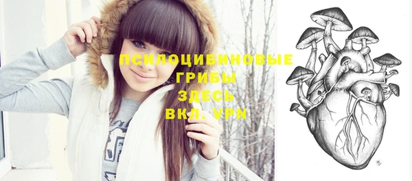 метадон Медвежьегорск