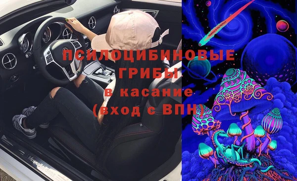 ешки Мегион