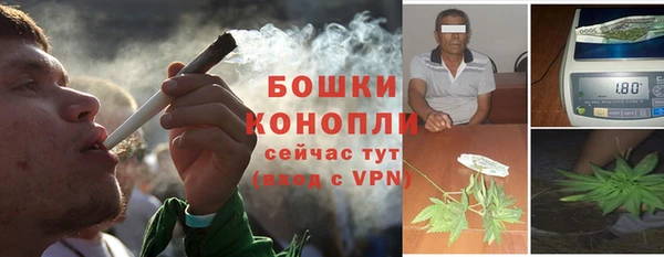 ешки Мегион