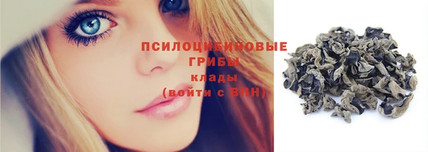 spice Оленегорск