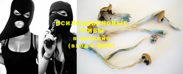 ешки Мегион