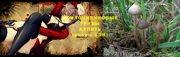 первитин Окуловка