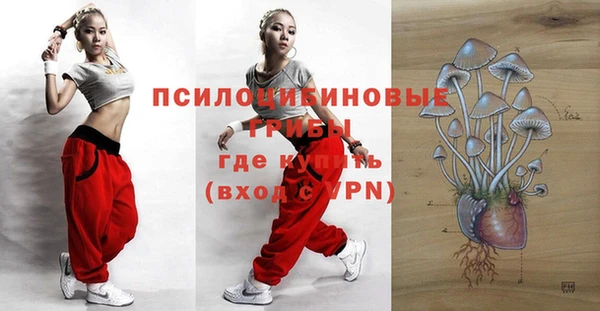 первитин Окуловка