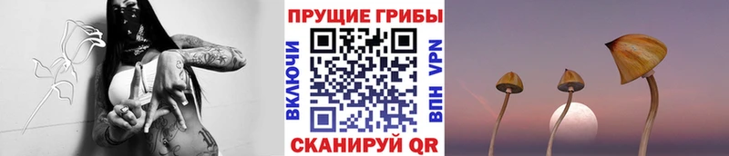 гидра вход  Отрадная  Псилоцибиновые грибы мицелий 