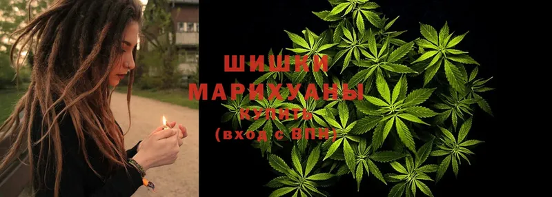 Бошки марихуана VHQ  Отрадная 